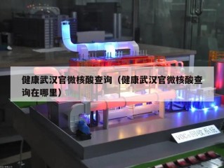 健康武汉官微核酸查询（健康武汉官微核酸查询在哪里）