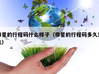 带星的行程码什么样子（带星的行程码多久消失）