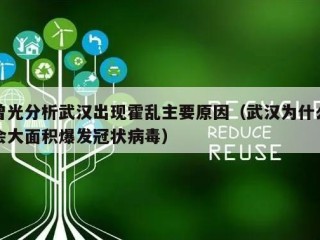 曾光分析武汉出现霍乱主要原因（武汉为什么会大面积爆发冠状病毒）