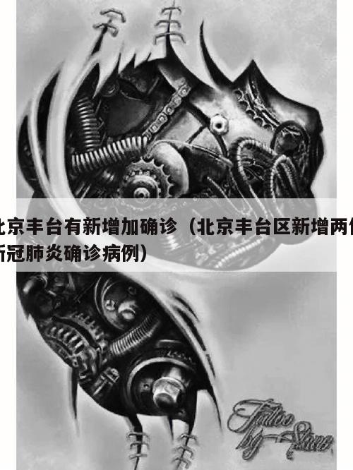 北京丰台有新增加确诊(北京丰台区新增两例新冠肺炎确诊病例)