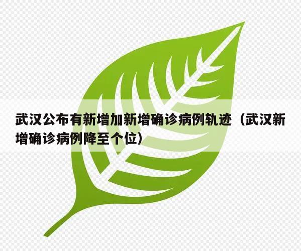 武汉公布有新增加新增确诊病例轨迹(武汉新增确诊病例降至个位)