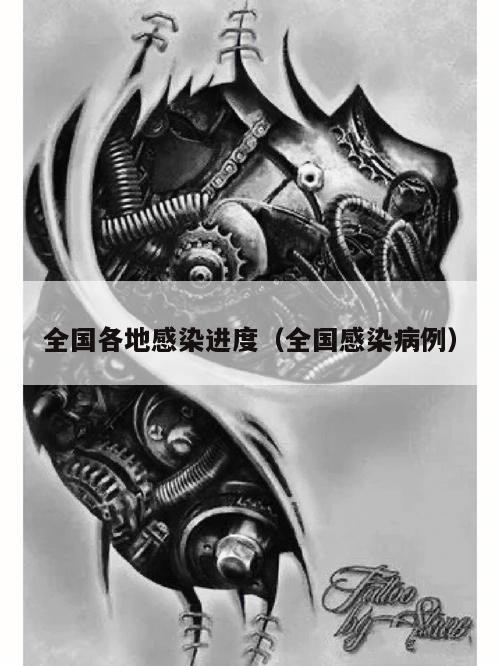 全国各地感染进度(全国感染病例)
