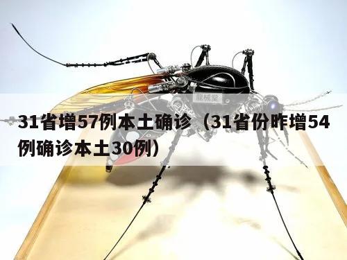 31省增57例本土确诊(31省份昨增54例确诊本土30例)