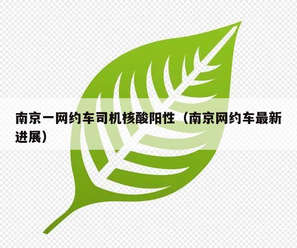 南京一网约车司机核酸阳性(南京网约车最新进展)