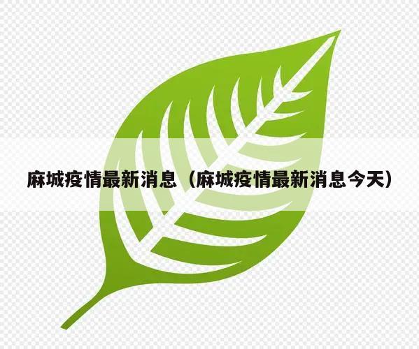 麻城疫情最新消息(麻城疫情最新消息今天)