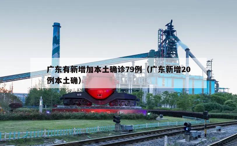 广东有新增加本土确诊79例(广东新增20例本土确)
