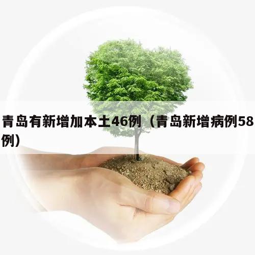 青岛有新增加本土46例(青岛新增病例58例)