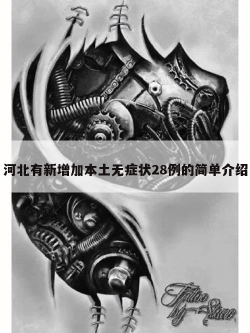 河北有新增加本土无症状28例的简单介绍