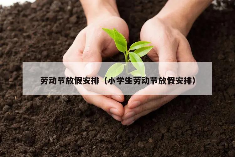 劳动节放假安排(小学生劳动节放假安排)