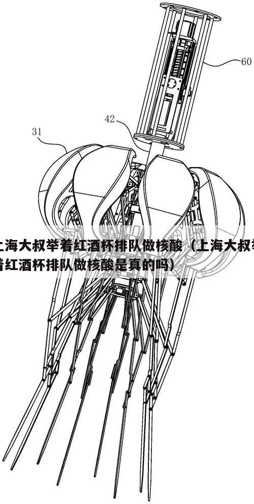 上海大叔举着红酒杯排队做核酸(上海大叔举着红酒杯排队做核酸是真的吗)