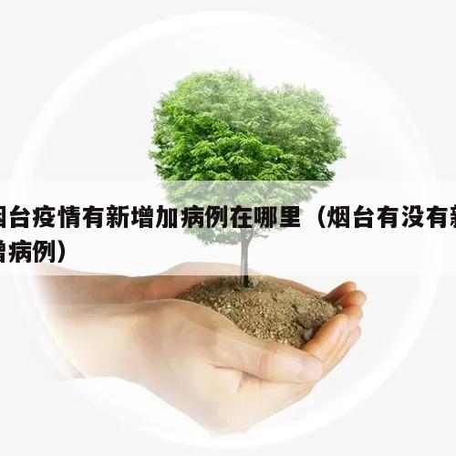 烟台疫情有新增加病例在哪里(烟台有没有新增病例)