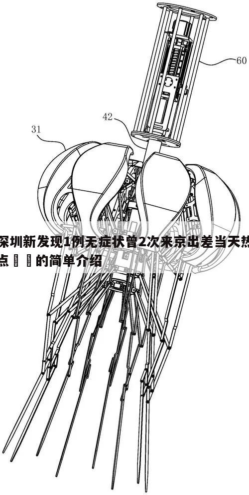 深圳新发现1例无症状曾2次来京出差当天热点㊙️的简单介绍