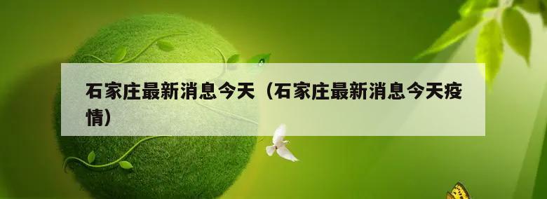 石家庄最新消息今天(石家庄最新消息今天疫情)