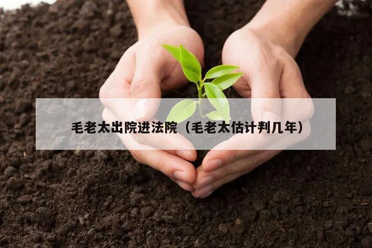 毛老太出院进法院(毛老太估计判几年)