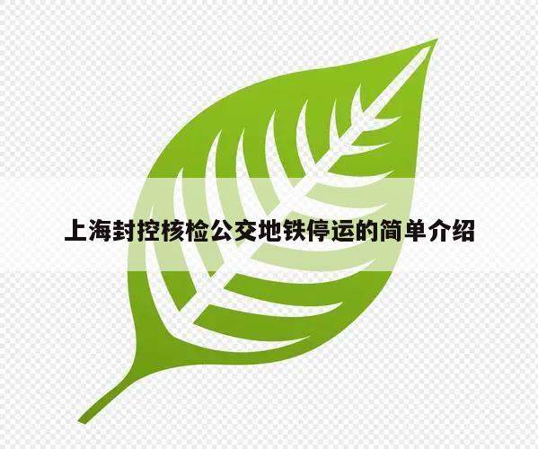 上海封控核检公交地铁停运的简单介绍