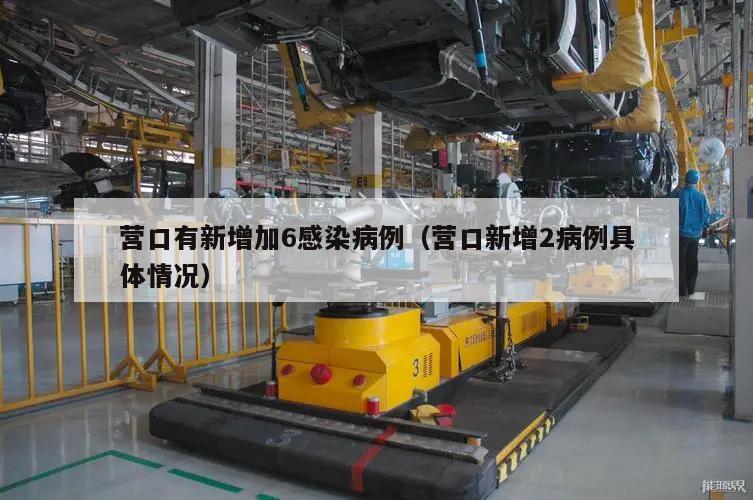 营口有新增加6感染病例(营口新增2病例具体情况)