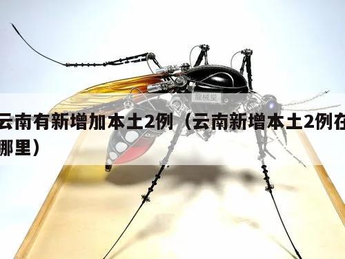 云南有新增加本土2例(云南新增本土2例在哪里)