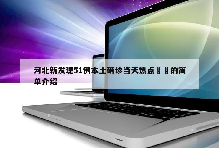河北新发现51例本土确诊当天热点㊙️的简单介绍
