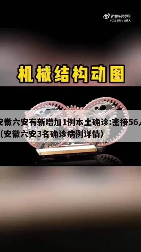 安徽六安有新增加1例本土确诊:密接56人(安徽六安3名确诊病例详情)