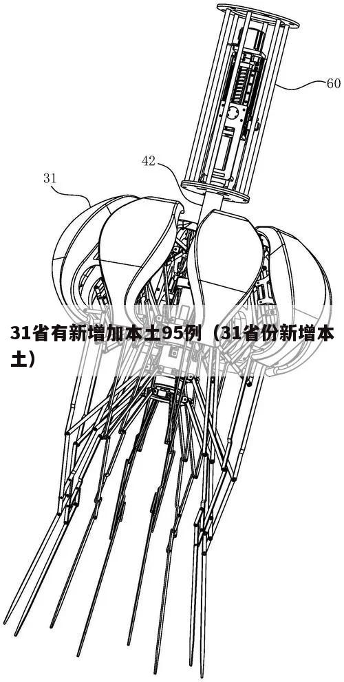 31省有新增加本土95例(31省份新增本土)