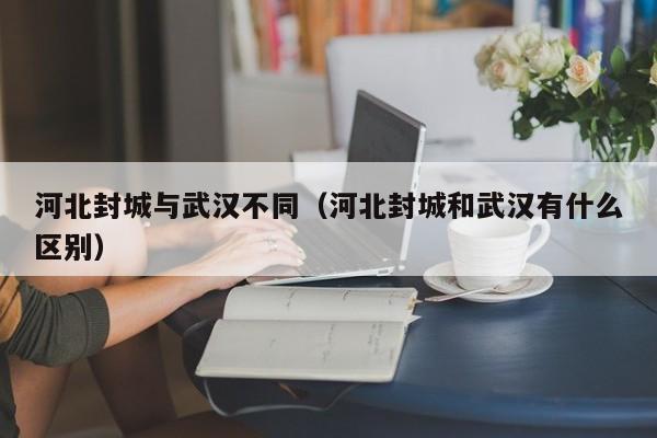 河北封城与武汉不同(河北封城和武汉有什么区别)