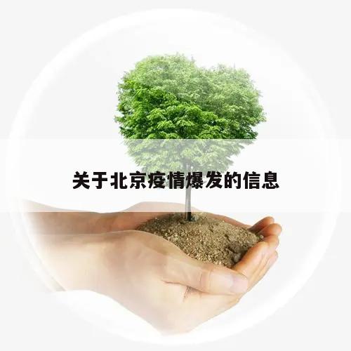 关于北京疫情爆发的信息